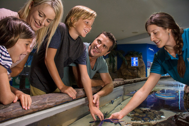 Sunshine Coast : SEA LIFE Sunshine Coast - Billet d'entrée