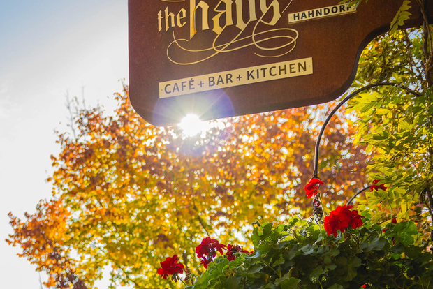 Desde Adelaida: Hahndorf y Valle de Barossa con almuerzo en bodega