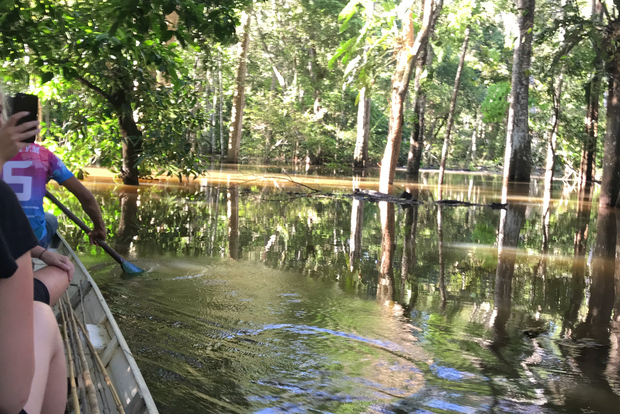 Desde Manaus: Experiencia de un día en la selva amazónica