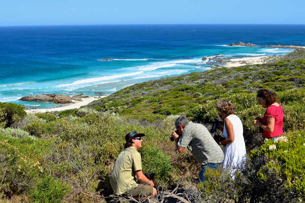 Desde Busselton: Excursión ecológica de medio día por la costa y la fauna salvaje