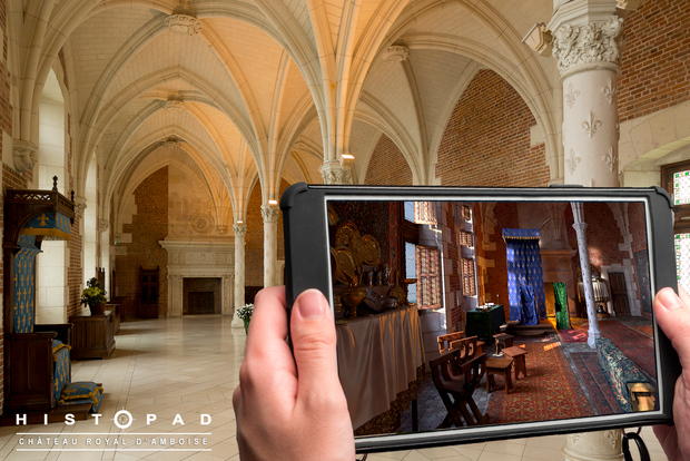 Valle della Loira: Biglietto d'ingresso per il Castello Reale di Amboise