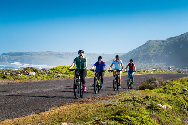 Cape Town: 9-hour Cape Point Private Guided Cycling Tour