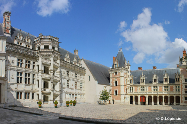 Tours/Amboise: Private day trip Chambord, Blois & Cheverny