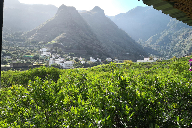 大加那利岛：乘巴士游览大岛（含接送服务