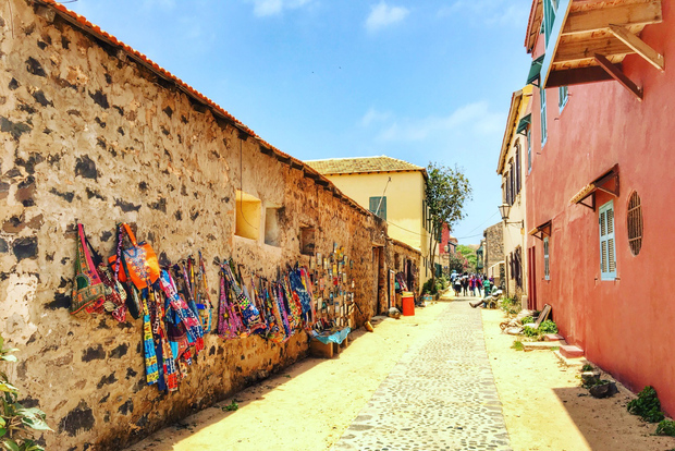 Da Dakar o Saly: tour privato di mezza giornata dell'isola di Gorée