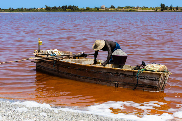 Da Dakar o Saly: tour di mezza giornata al Lago Rosa
