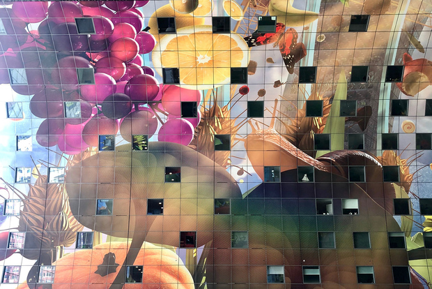 Architettura di Rotterdam: Centro e South Bank con watertaxi