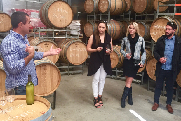 McLaren Vale : Visite en petit groupe (avec déjeuner)