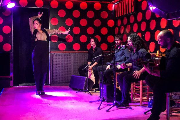 Барселона: Готический квартал и шоу фламенко (малая группа)