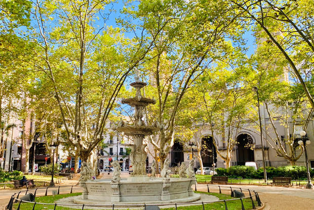 Montevideo: tour completo di mezza giornata con guida e 6 tappe