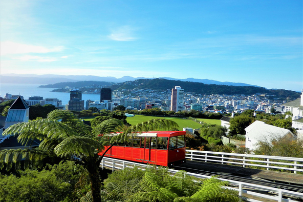 Wellington: ticket de entrada de ida y vuelta en teleférico