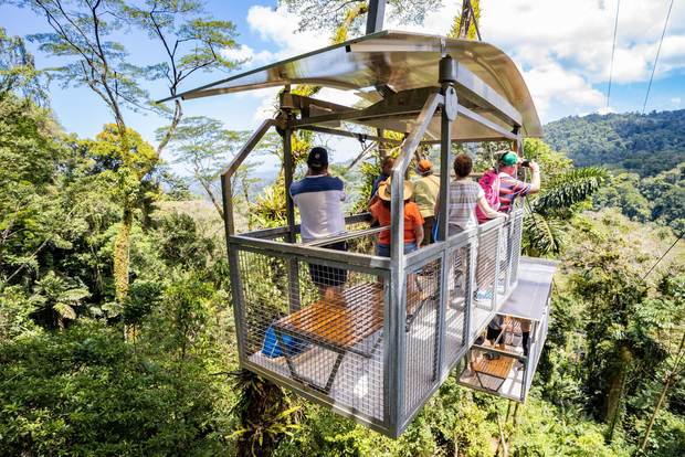 利蒙港：贝拉瓜雨林和托尔图格罗运河巡游
