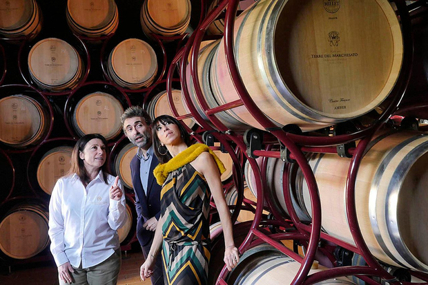 Bolgheri : Visite d'un domaine viticole avec dégustation de vins