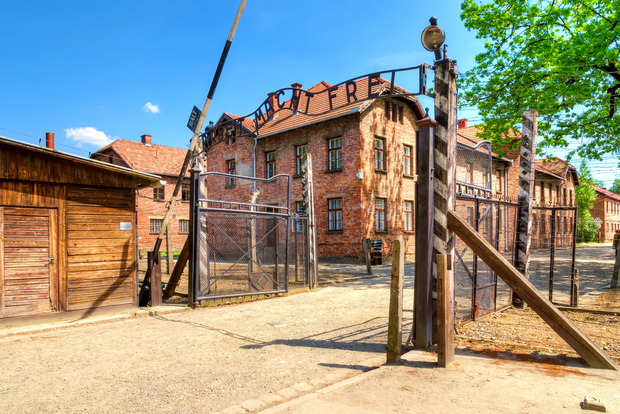 Krakow: Auschwitz Guided Tour with Optional Hotel Pickup