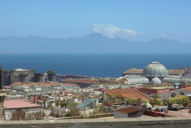 那不勒斯：那不勒斯、庞贝古城和维苏威火山全日游