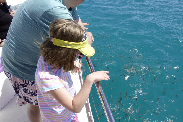 Mahe: Safári de recife do Parque Nacional Marinho de St.Anne com almoço