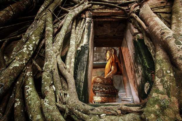 Mercato galleggiante di Damnoen Saduak e Nakhon Pathom con autista