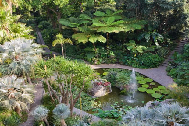 索伦托出发，伊斯基亚岛和莫特拉花园全日游