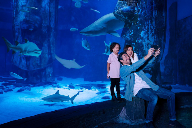 SEA LIFE Arizona Aquarium Общий вход