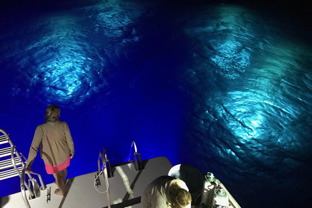 Nattdykning i Oahu: Äventyr för certifierade dykare