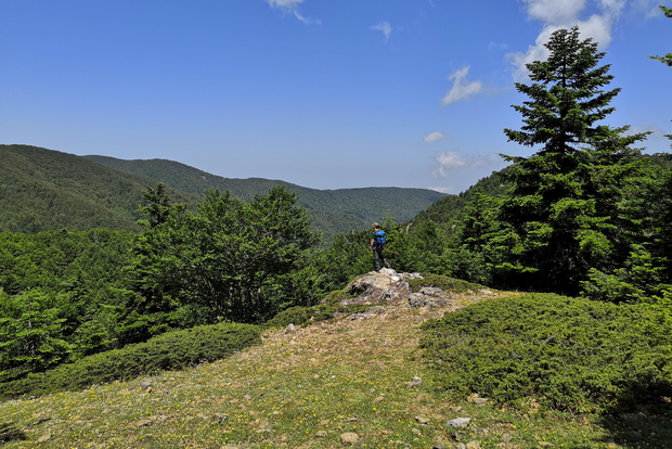 Реджо-ди-Калабрия: поход по тропам Аспромонте к вершине Монтальто