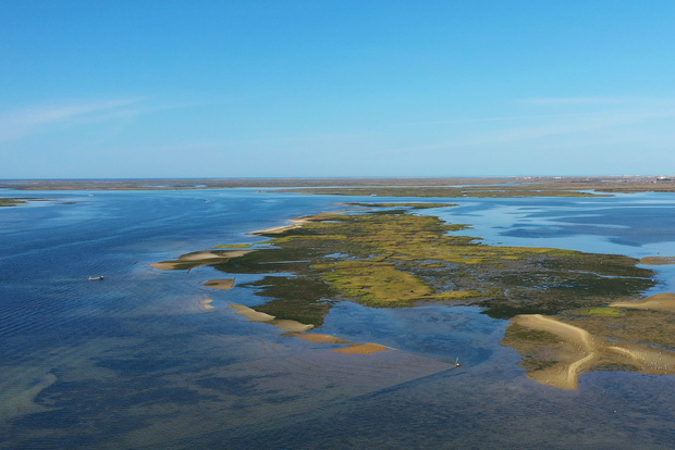 Ria Formosa: tour in barca di 3 ore delle isole Armona e Culatra