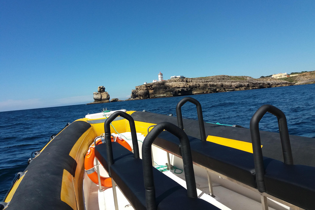 Depuis Peniche : excursion en bateau d'une heure à Cabo Carvoeiro