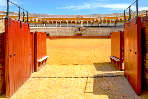 Siviglia: Tour guidato della Plaza de Toros e del Museo in spagnolo