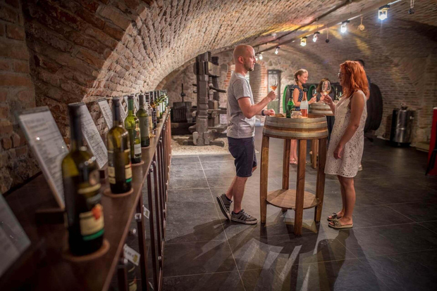 Bratislava: degustazione di vini con sommelier
