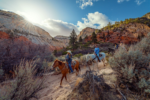 East Zion: 1-Hour White Mountain Horseback Tour