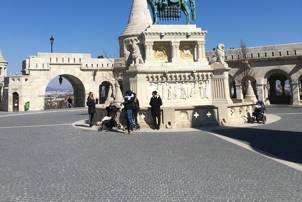Buda Castle: Private Walking Tour