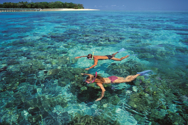 From Cairns: Green Island Half-Day Morning Cruise