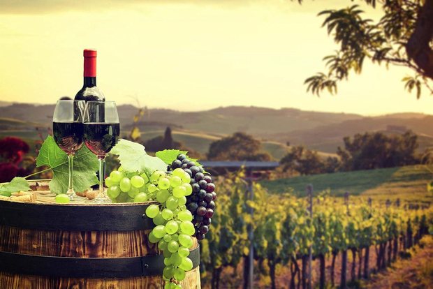 Ronda winery tour from Seville