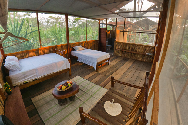 Desde Puerto Maldonado: excursión de 4 días en busca de vida salvaje