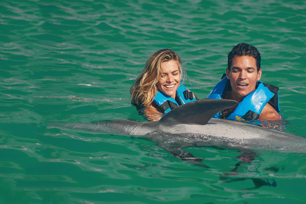 Puerto Aventuras: Increíble encuentro con delfines con almuerzo