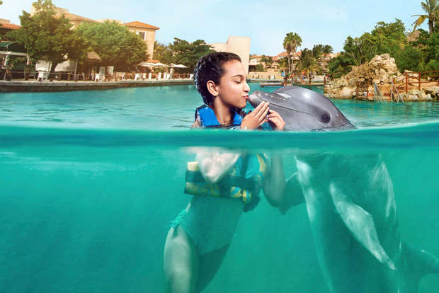Puerto Aventuras: Dolphin Encounter with Buffet Lunch