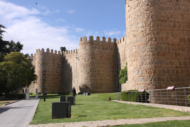 Da Madrid: Tour di un giorno di Avila e Segovia