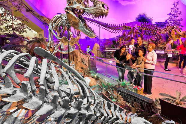 Индианаполис: 3-дневный абонемент на аттракционы Indy