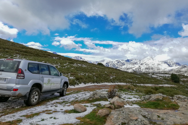 Calvi: Asco Valley 4x4 dagstur med guide