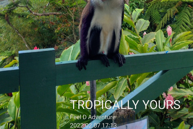 Гренада: тур на целый день с дегустацией шоколада и рома