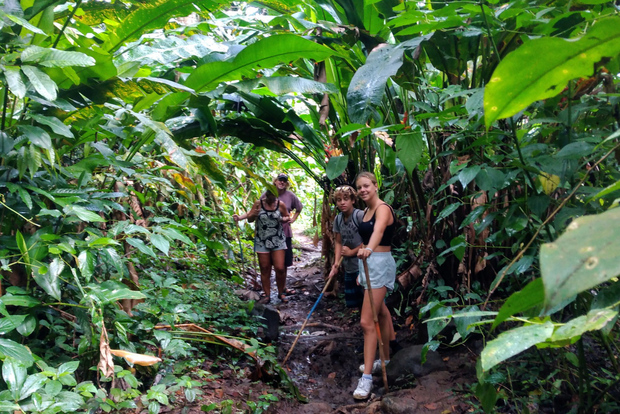 Поход к водопаду «Тропически ваш».
