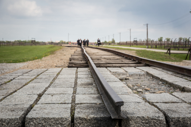 Da Cracovia: Tour Auschwitz Birkenau con trasferimento