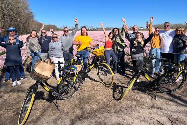 Lisse: goditi i campi di tulipani in bici con una guida locale!