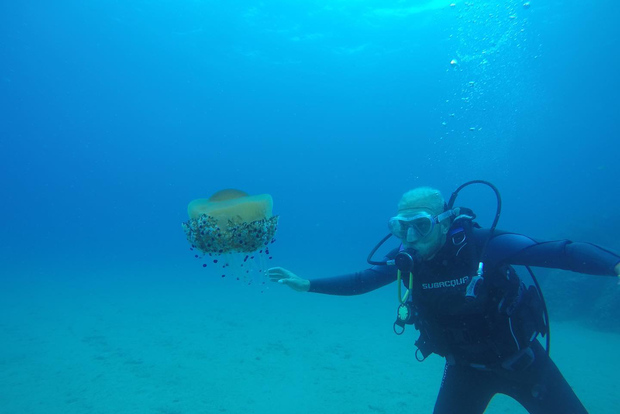 Lloret de Mar: Esperienza di immersione subacquea senza licenza