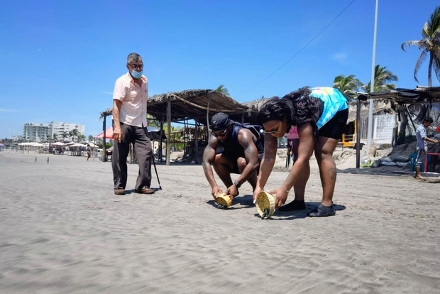 .6Hr Tour Tauchen Show Baby Schildkröte Freilassung & Alle Attraktionen