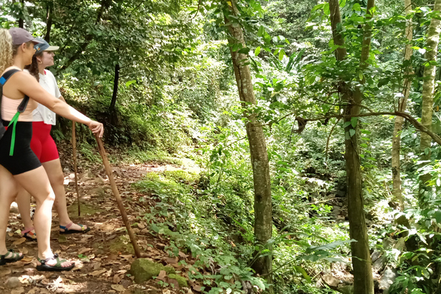 Пешие прогулки по тропическому лесу Гранд-Этанг