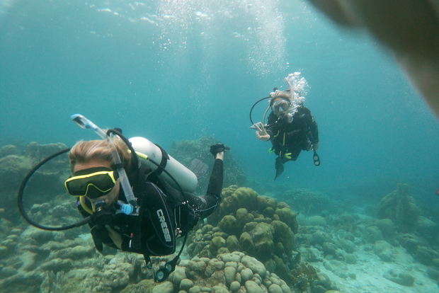 Аруба: риф Мангел-Хальто и подводное плавание с дырой в стене у берега