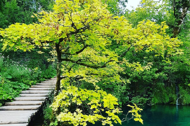 Nationalpark Plitvicer Seen: Wanderung, Boots- und Zugtour