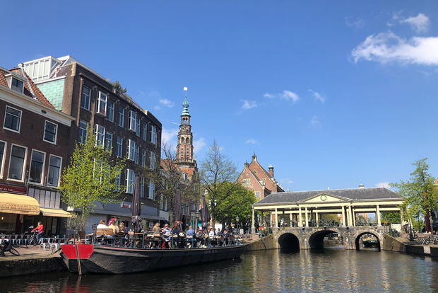 Tour del fascino delle quattro città dell'Olanda