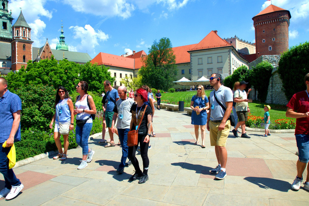 Cracovia: Tour guidato del Castello di Wawel con biglietti d'ingresso
